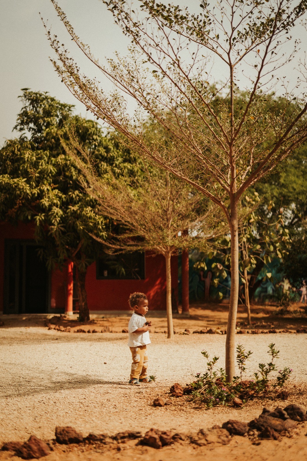 Un enfant entre les arbres aux Colibris
